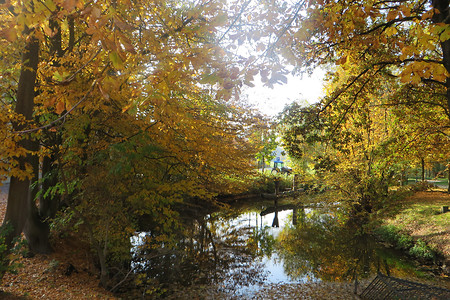 Herbst an der Rednitz &ndash; (02.11.2016, VGN &copy;&nbsp;VGN GmbH)