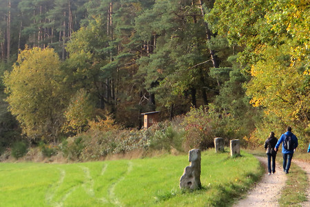 Nach Mäbenberg &ndash; (02.11.2016, VGN &copy;&nbsp;VGN GmbH)