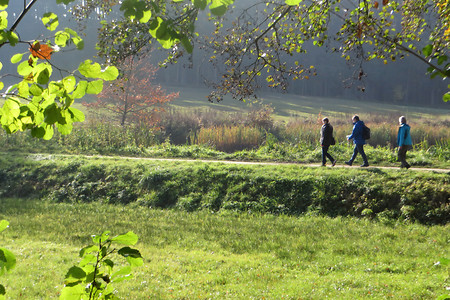 Unterwegs &ndash; (02.11.2016, VGN &copy;&nbsp;VGN GmbH)