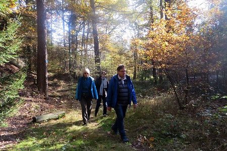 Stille Wege &ndash; (02.11.2016, VGN &copy;&nbsp;VGN GmbH)