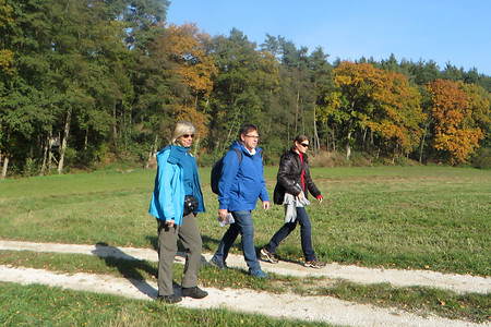 Vorbei an den Karpfenweihern &ndash; (02.11.2016, VGN &copy;&nbsp;VGN GmbH)