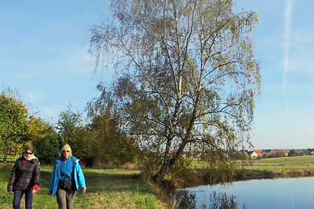 Karpfenweiher &ndash; (02.11.2016, VGN &copy;&nbsp;VGN GmbH)