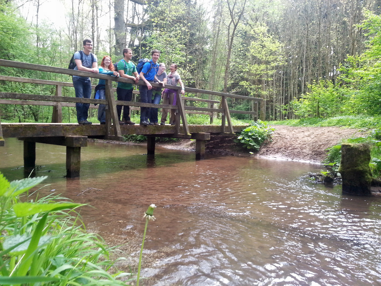 Brücke vor dem Birkensee &ndash;  (01.05.2014, VGN &copy;&nbsp;VGN GmbH)