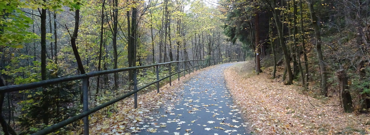 Radweg herbstlich &ndash;  (21.10.2018, S. Dassler &copy;&nbsp;VGN GmbH)