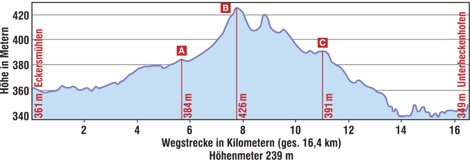 Höhenprofil "Zum Südtiroler" &ndash;  (VGN &copy;&nbsp;VGN GmbH)