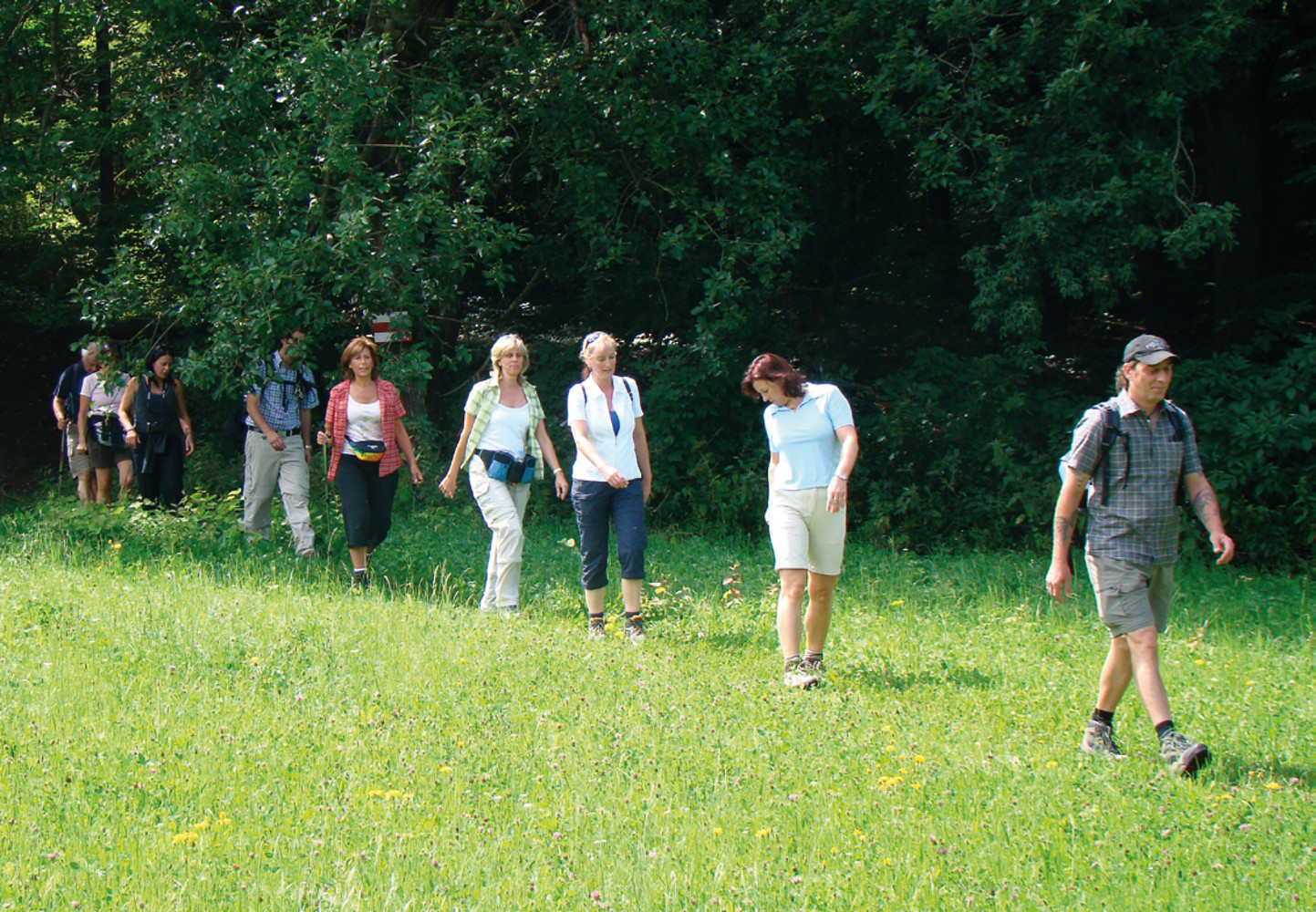 Waldwiese am Ossinger &ndash;  (VGN &copy;&nbsp;VGN GmbH)