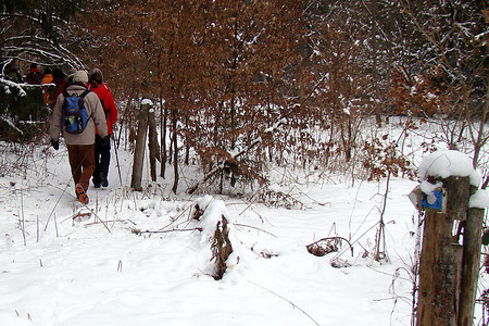 Jakobsweg &ndash; (27.01.2013, VGN &copy;&nbsp;VGN GmbH)