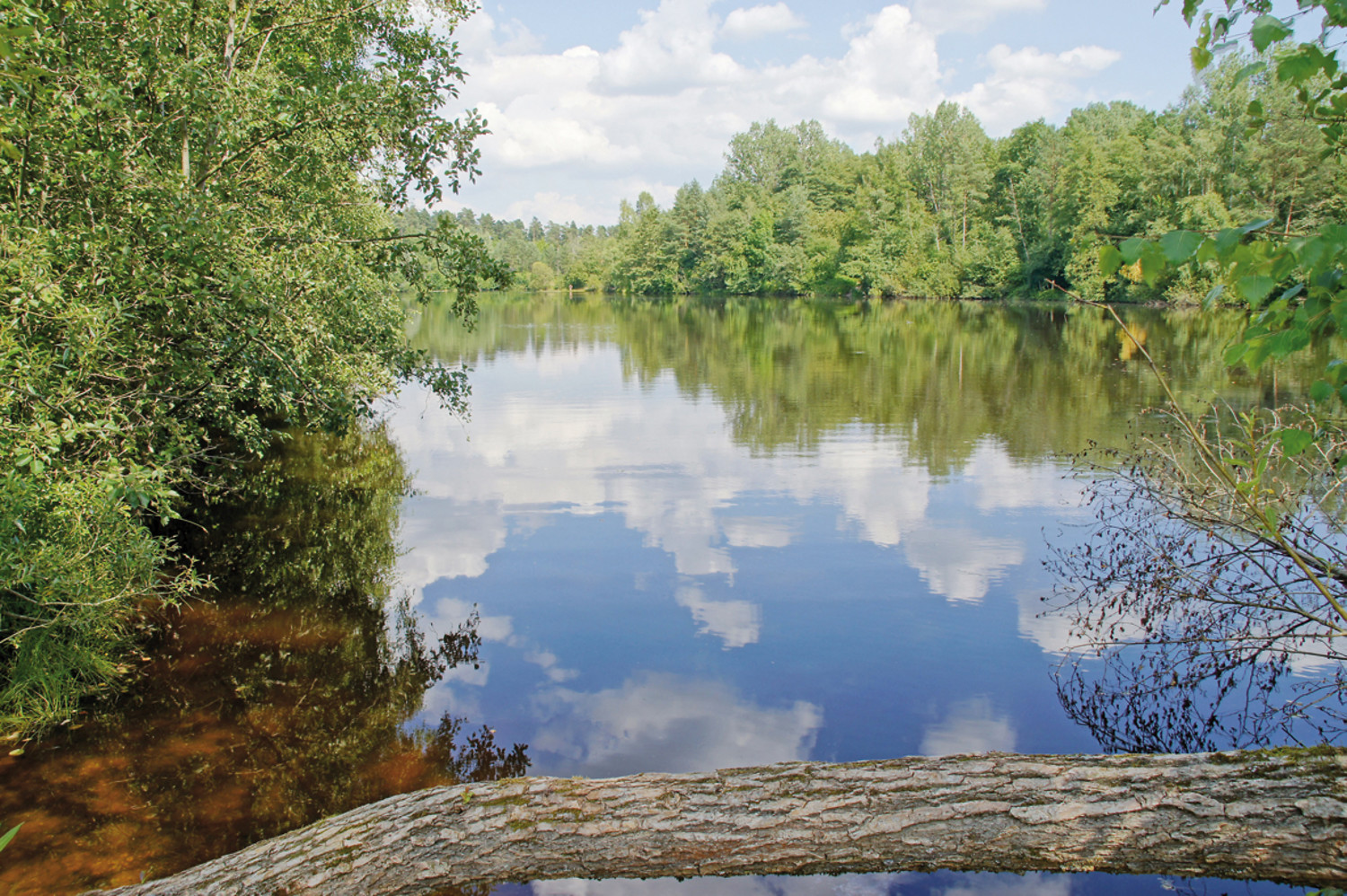 Jägersee &ndash;  (27.07.2011, VGN &copy;&nbsp;VGN GmbH)